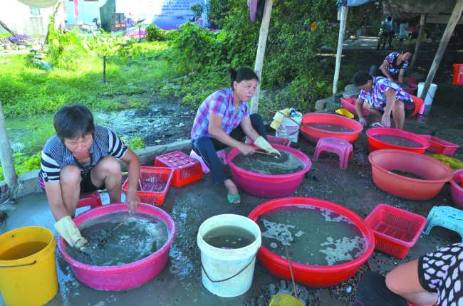 Res 07_attpic _brief