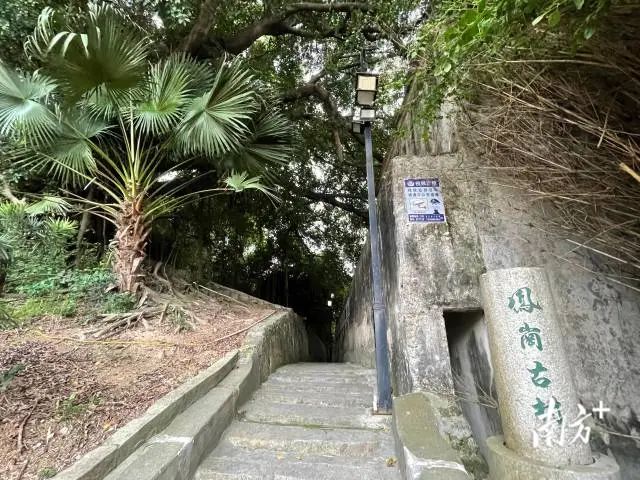 南方+ 余丹 拍攝