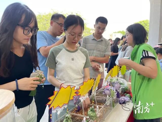 現場開展蚊香香包制作活動。 南方+ 余丹 拍攝 圖片